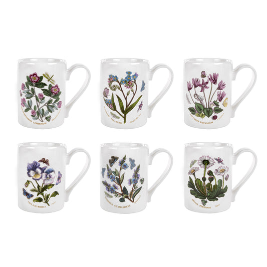 Portmeirion Botanic Garden Coffee Mugs Set of 6