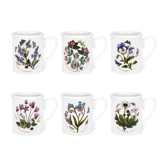 Portmeirion Botanic Garden Breakfast Mugs Set of 6