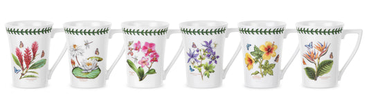 Portmeirion Exotic Botanic Garden Mandarin Mugs Set of 6