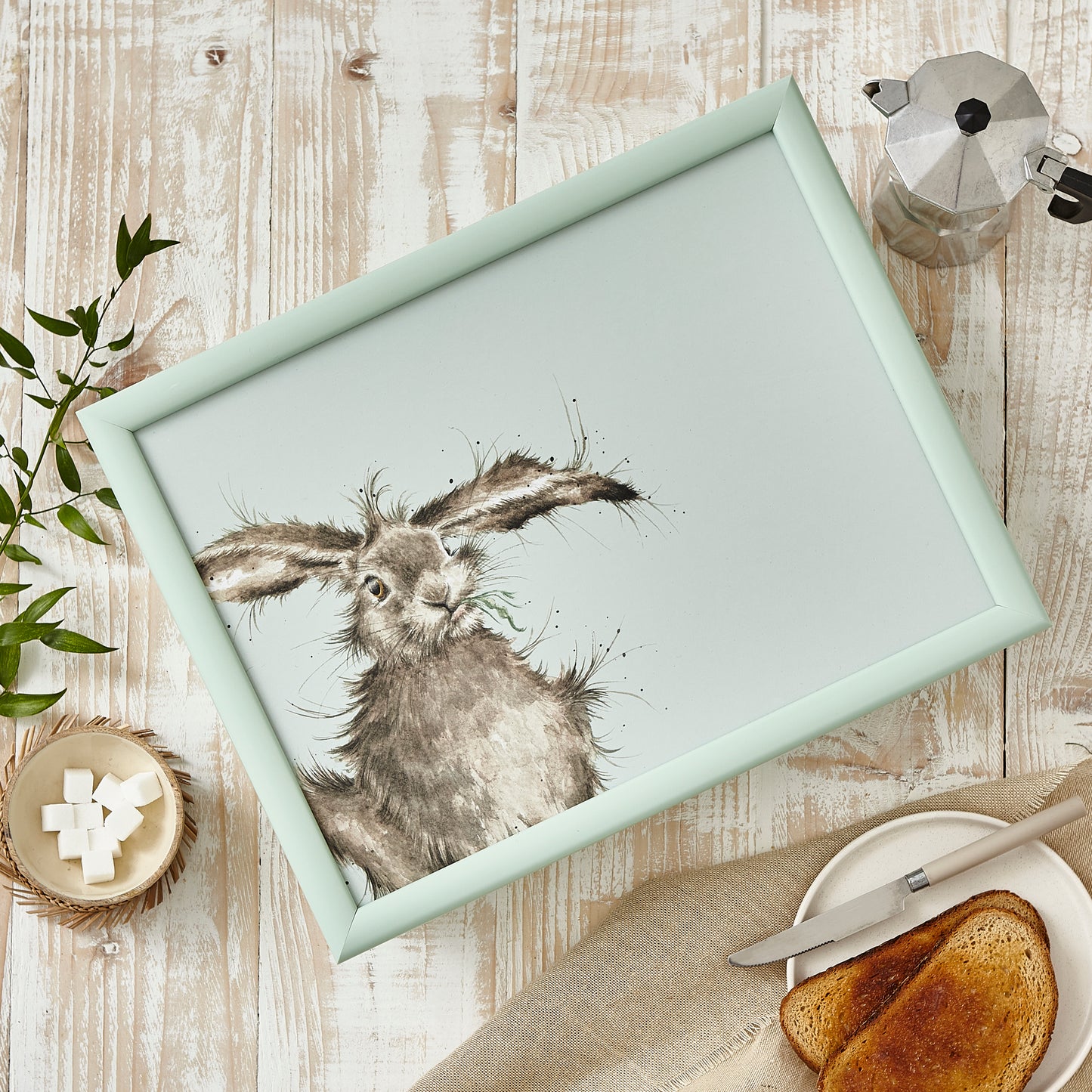 Royal Worcester Wrendale Designs Hare Brained Cushioned Lap Tray