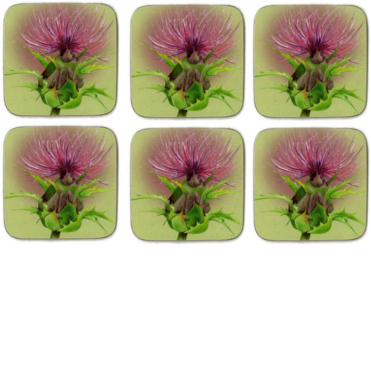 Coasters Set of 6 Stirling Thistle