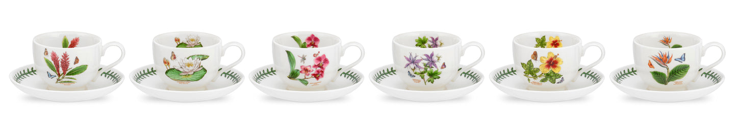 Portmeirion Exotic Garden Teacup and Saucer Set Of 6