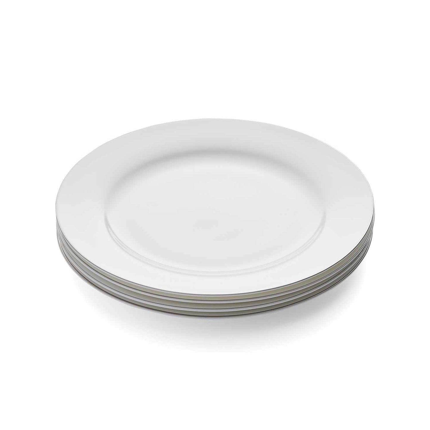 Royal Worcester Serendipity Platinum Dinner Plate Set of 4