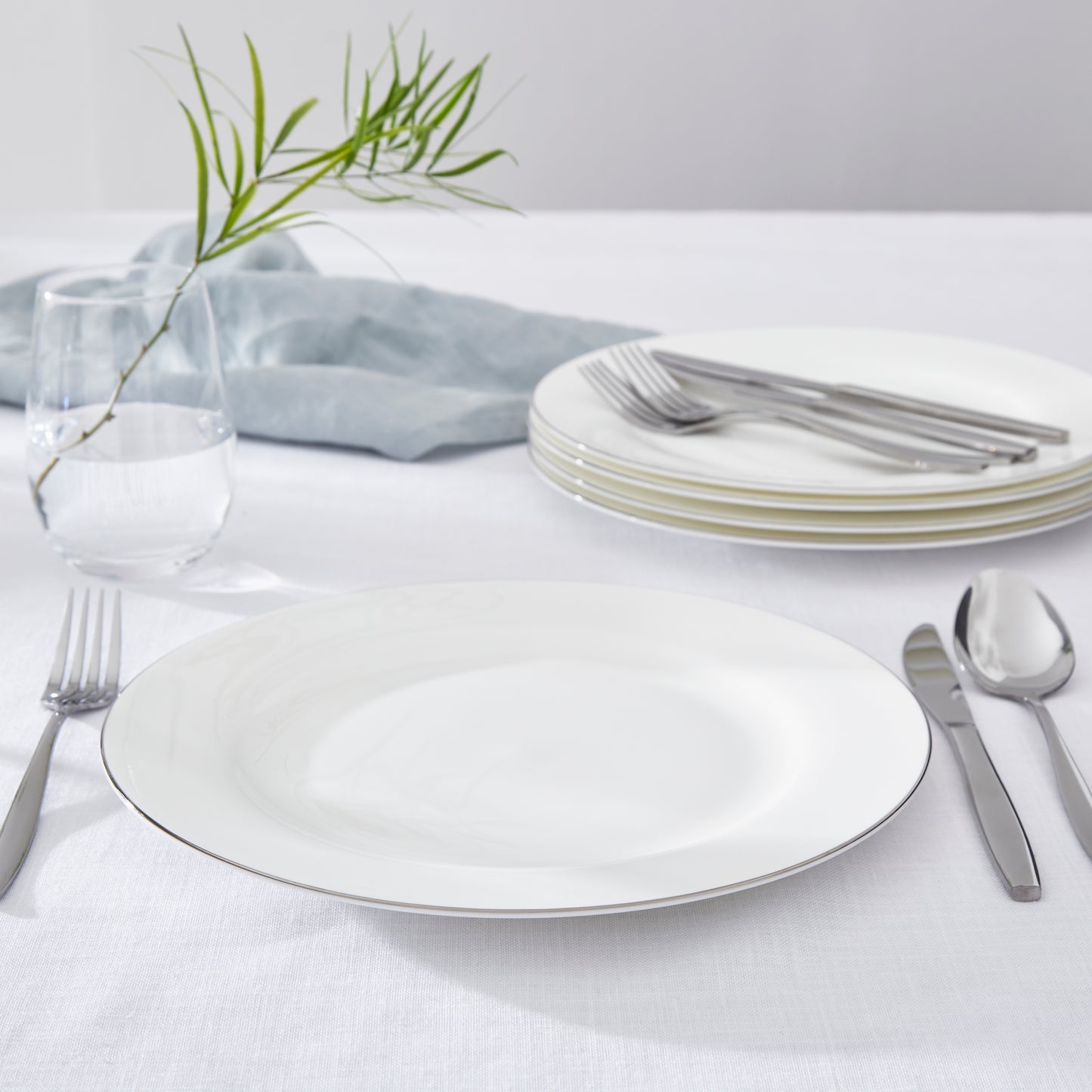 Royal Worcester Serendipity Platinum Dinner Plate Set of 4
