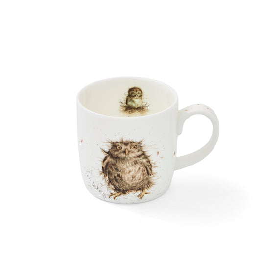 Royal Worcester Wrendale Designs What a Hoot Owl Fine Bone China Mug