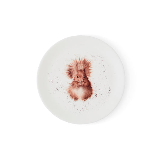 Royal Worcester Wrendale Designs 8 Inch Coupe Plates - Squirrel Set of 4