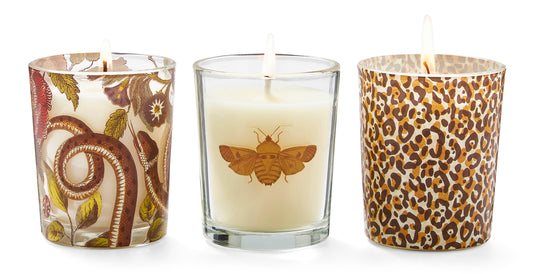 Creatures of Curiosity Scented Candle Gift Set by Spode