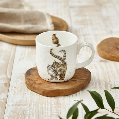Royal Worcester Wrendale Designs Feline Good Cat Mug - Set of 6