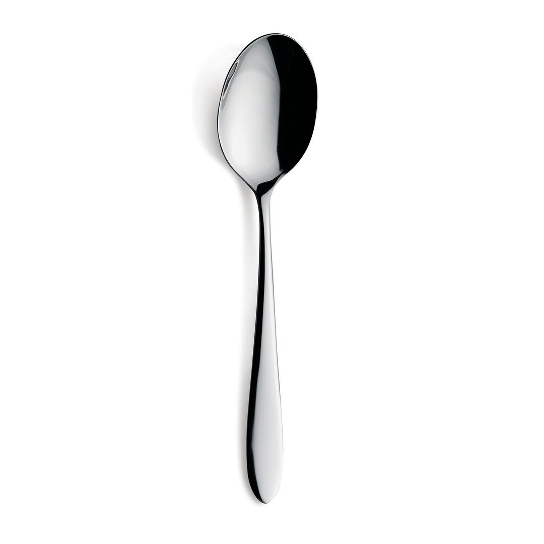 Sure Table Spoon by Amefa