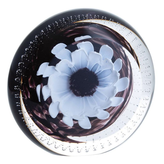 Caithness Glass Polar Star - Wheel - Limited Edition of 150