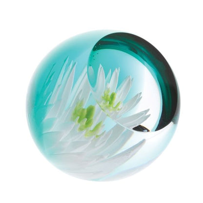 Caithness Glass Charms - Water Lily