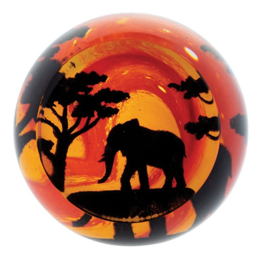 Caithness Glass On Safari - Elephant