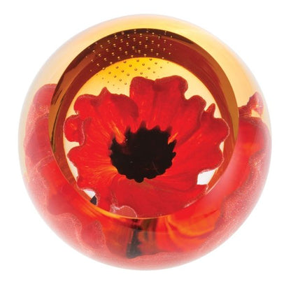 Caithness Glass Charms - Red Poppy
