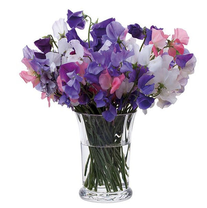 Dartington Florabundance Sweet Pea Vase