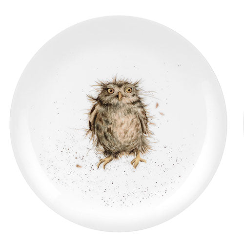 Royal Worcester Wrendale Designs Coupe Plate - What a Hoot